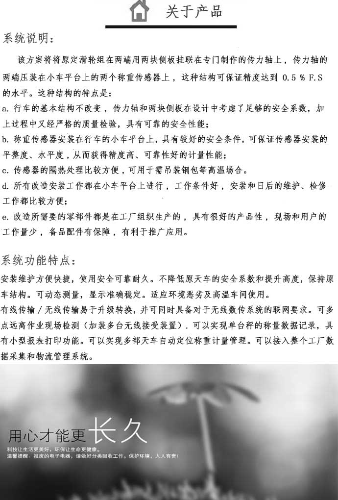 行車(chē)秤系統(tǒng)說(shuō)明、行車(chē)秤系統(tǒng)說(shuō)明圖片 行車(chē)秤系統(tǒng)說(shuō)明、行車(chē)秤系統(tǒng)說(shuō)明圖片